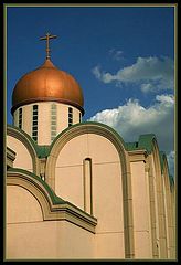 фото "Copper Top"