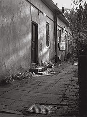 фото "безвозвратное"