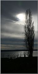 photo "***"