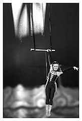 фото "Fly To The Light"