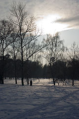 фото "Зима"