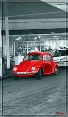 photo "Little Red ..."