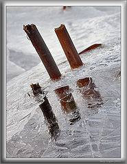 photo "In ice #2"