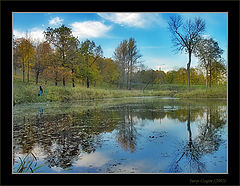 photo "Autumn pond etude"
