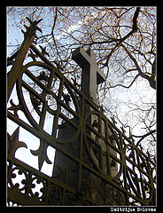 фото "krest"