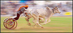 photo "go...cart"