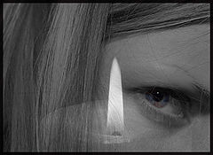 фото "c.a.t."