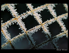 photo "***"