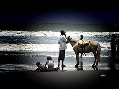 photo "beach"