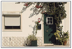 photo "Flowered door"