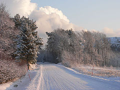 photo "My road"