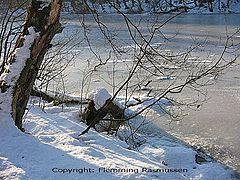 фото "Lake"