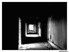 photo "***"
