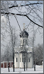 фото "Сквозь иней..."