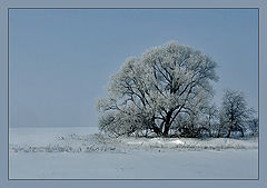 photo "***"