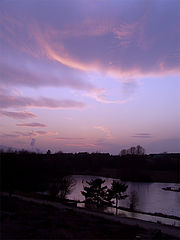 photo "***"