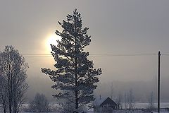 фото "... вдали от суеты"