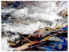 photo "River"
