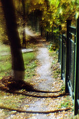 photo "Track through autumn"