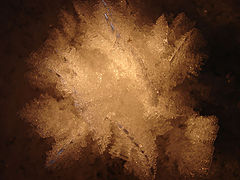 photo "***"