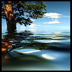фото "Flooding..."