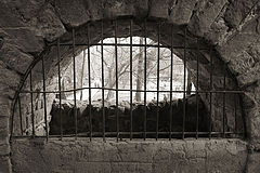 фото "Hope"