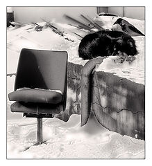 фото "Трое ..."