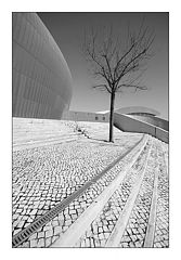 photo "Urban scenes"