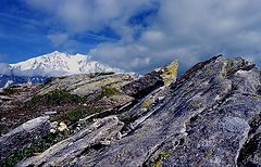 photo "Up on the world"