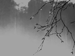 photo "naked"