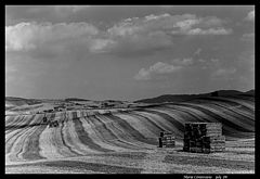 фото "Lines"