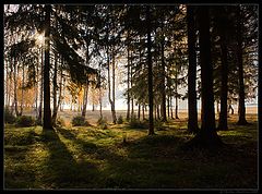 photo "Ural / 0156_0074"