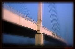 фото "The bridge"