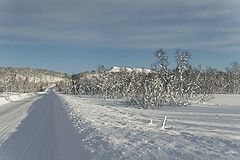 photo "Winter road"