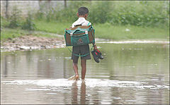 фото "school days"