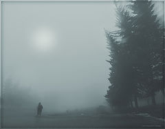 photo "***"