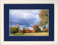 photo "Gold'sFall"