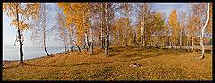 photo "Hillock / 0156_0078-0083"