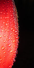фото "***"