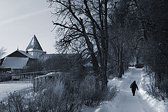 photo "Postman"