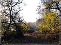 photo "morning"