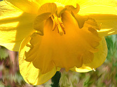 photo "easter"