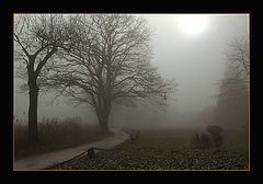 photo "Hidden Property..."