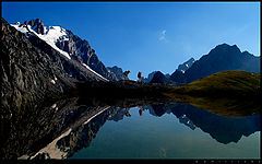 photo "***"