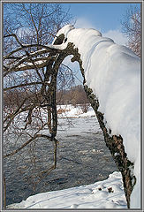 photo "Last winter day."