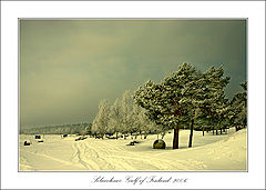 photo "***"
