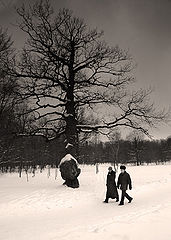 photo "***"