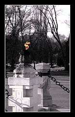фото "Eternal flame"