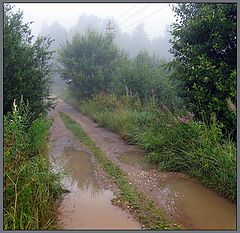 фото "Лесная дорога"