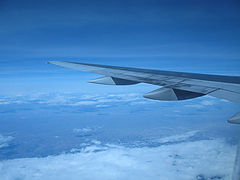 фото "Wing"